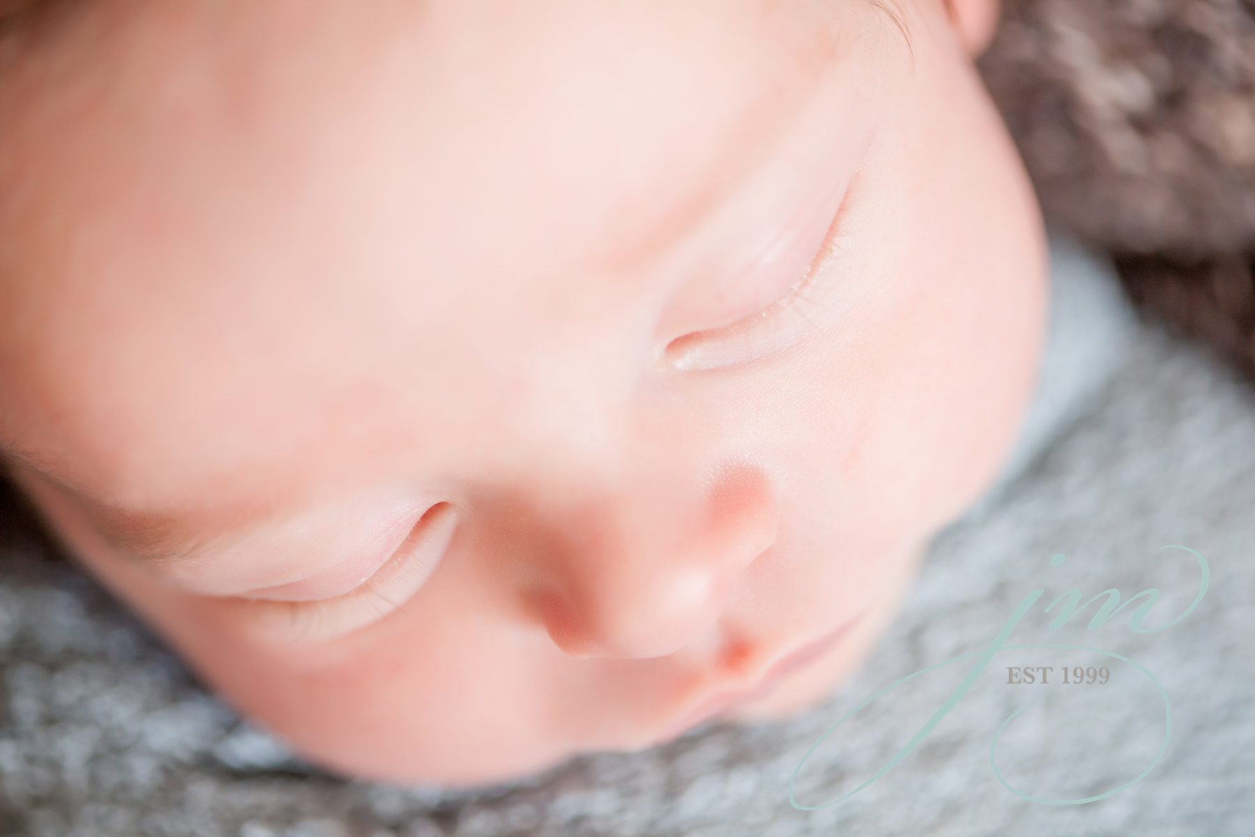 Denver Newborn Portrait Photographer